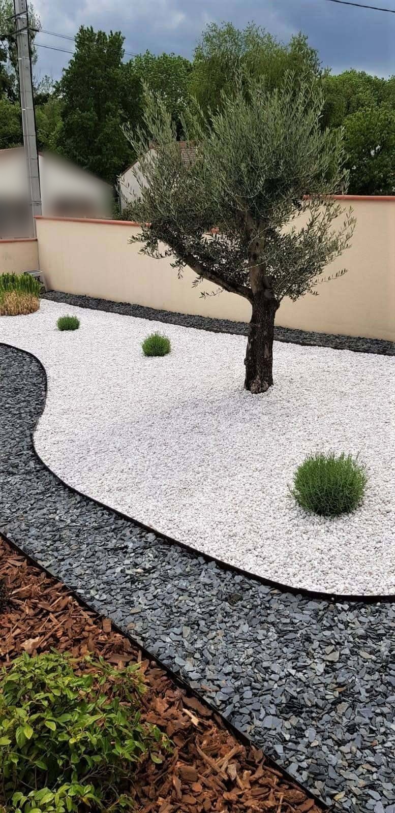 Création d'un jardin minéral avec olivier, Volvic