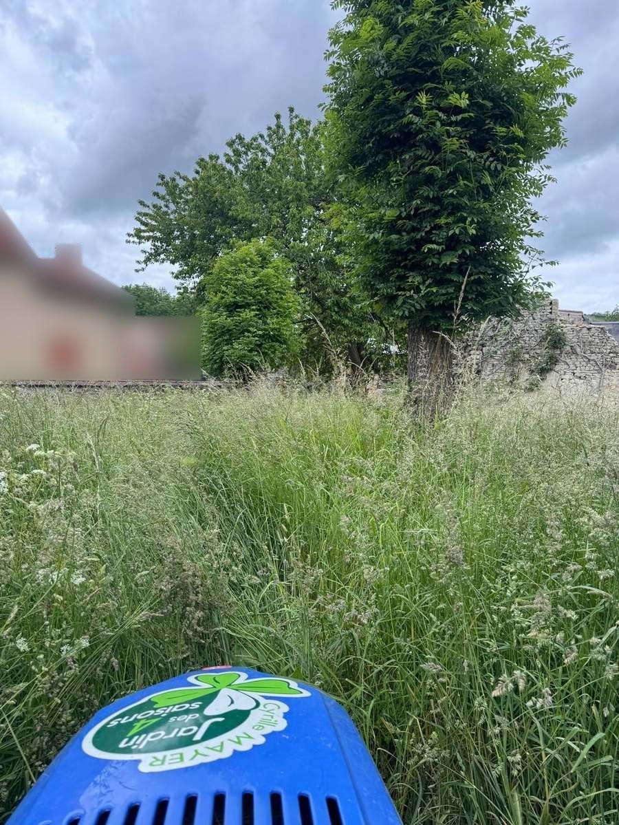 Pourtour de maison, friche dégagée (avant)