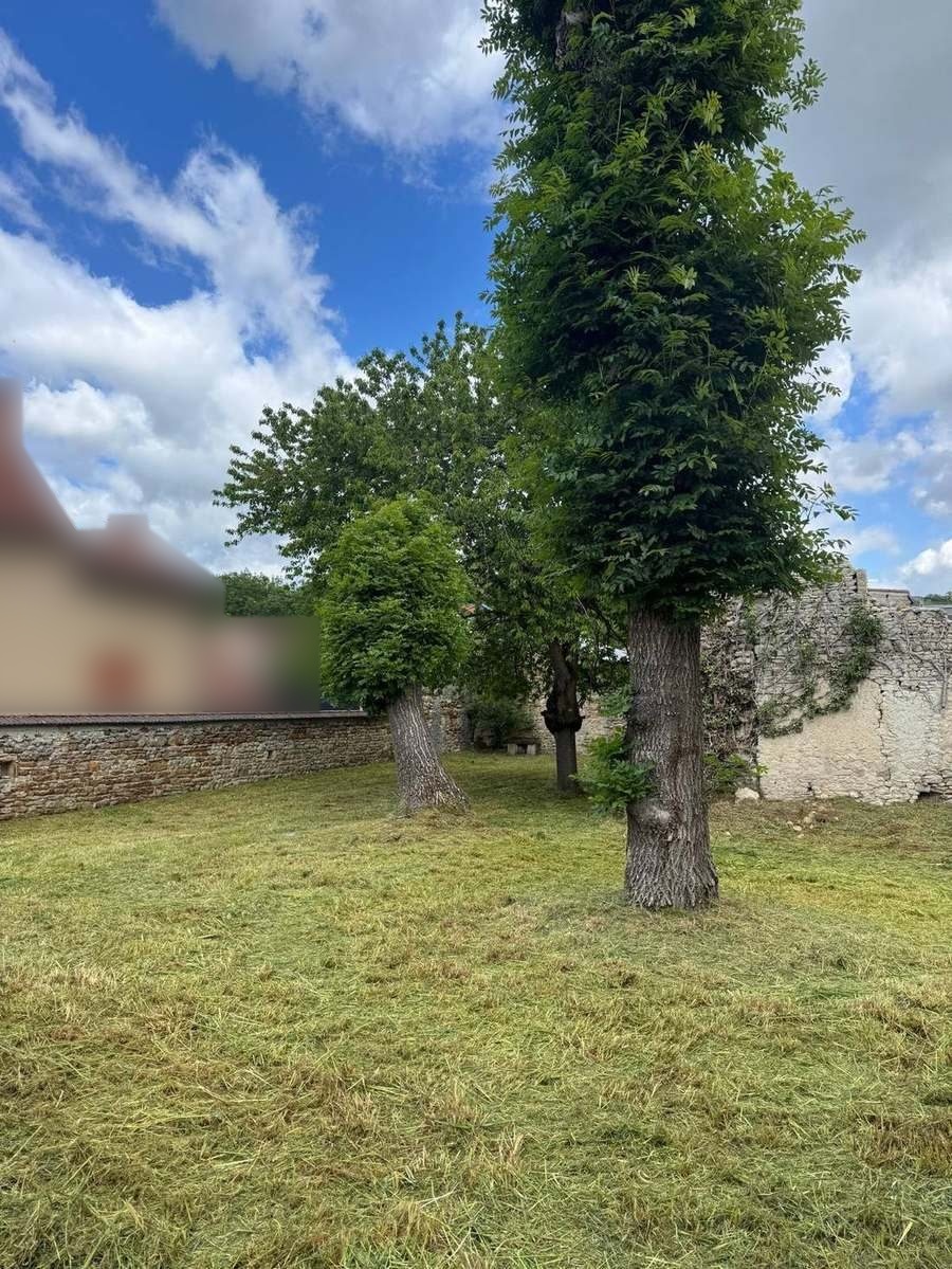 Pourtour de maison, friche dégagée (après)