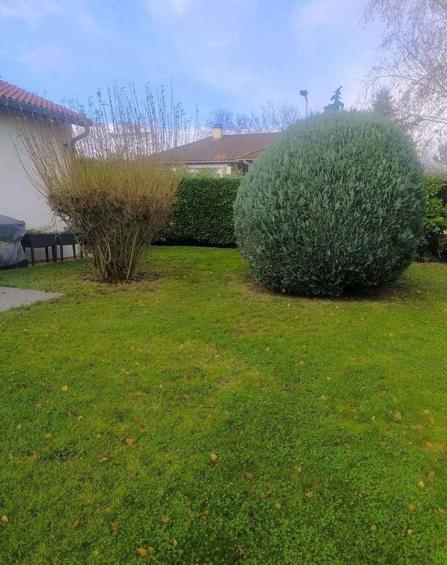Boule et saule, remise en forme (avant)