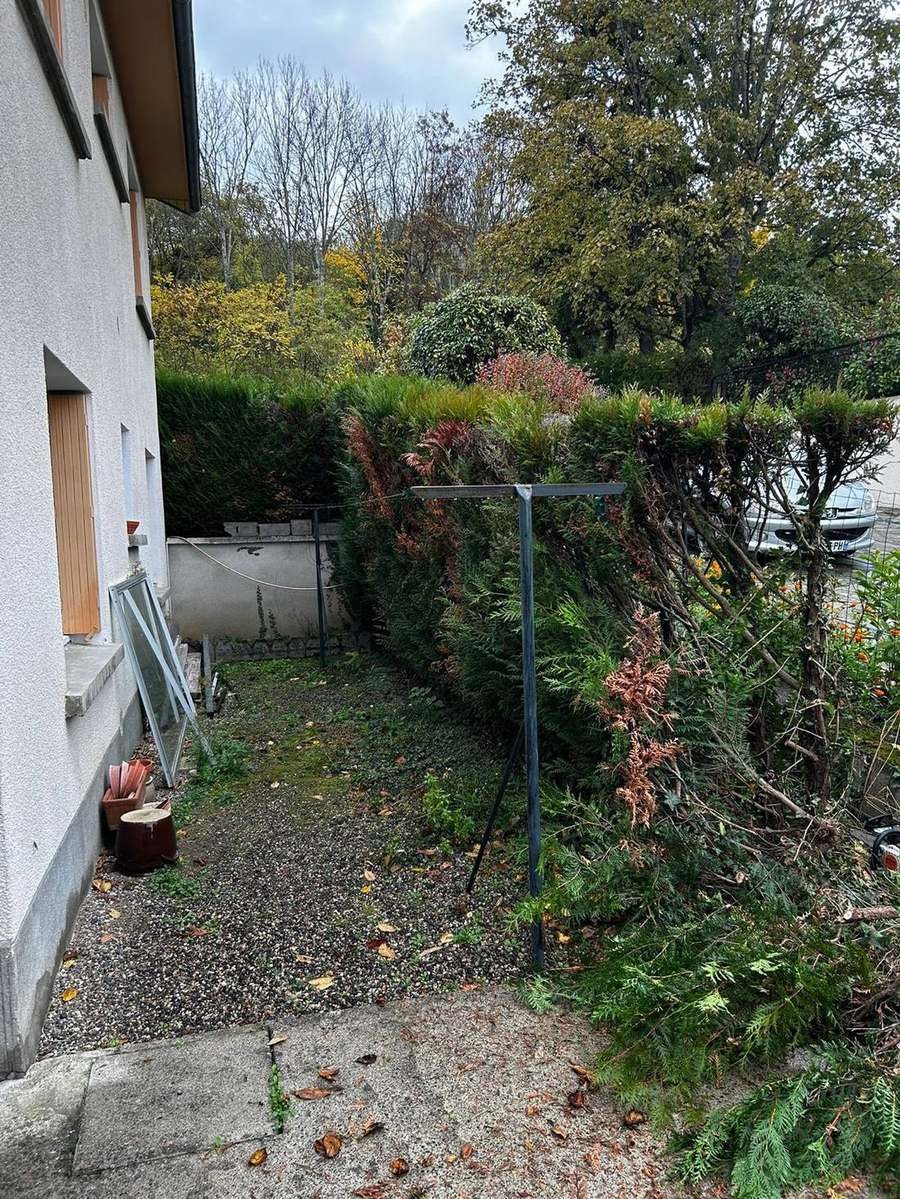 Haie envahissante, reprise complète (avant)