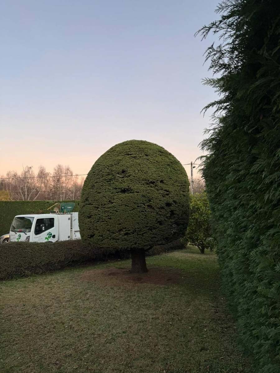 Grand sujet en boule